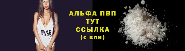 прущие грибы Богородск