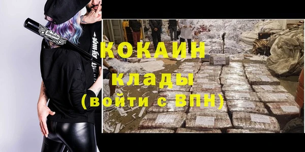 прущие грибы Богородск