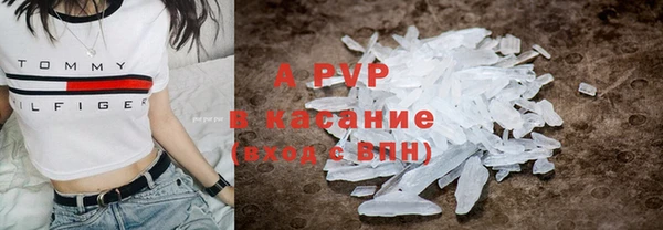 прущие грибы Богородск